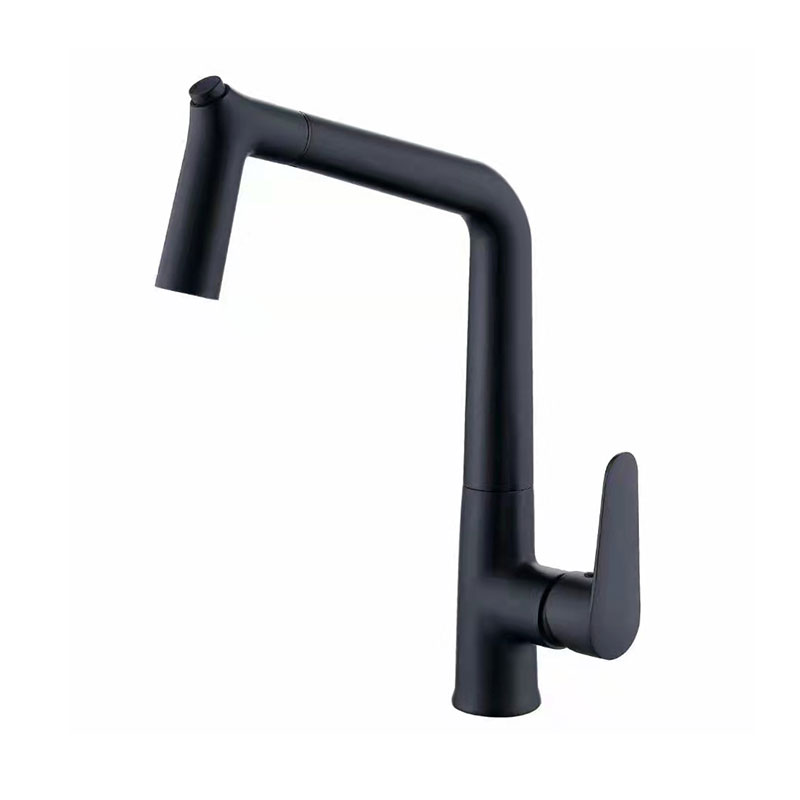 Design Kitchen Pull-Out Faucet